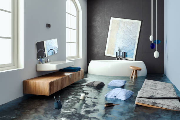Best Professional water damage repair  in El Centro, CA