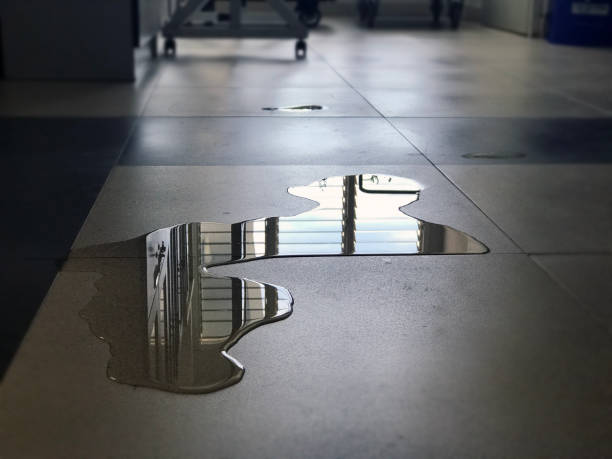 Best Sewage cleanup and water damage restoration  in El Centro, CA