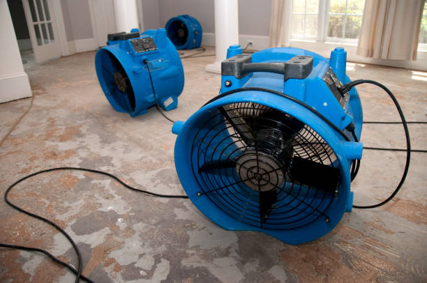 Best Water damage restoration near me  in El Centro, CA