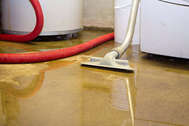 Best Carpet water damage restoration  in El Centro, CA