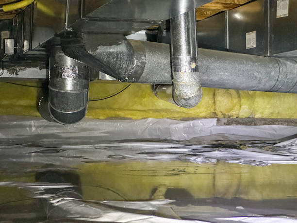 Best Flood restoration services  in El Centro, CA