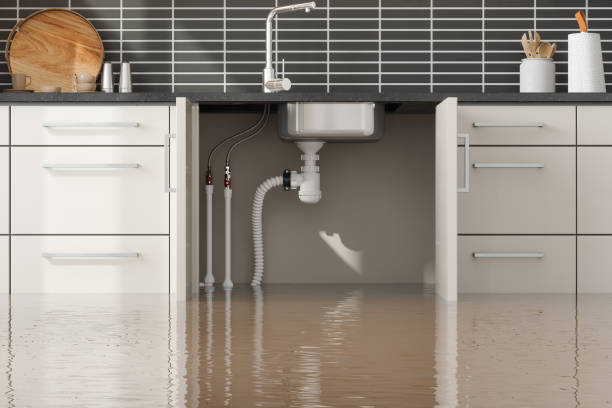 Best Water damage cleanup near me  in El Centro, CA